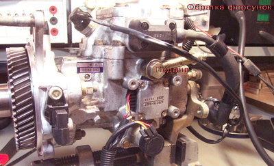 DCP_0346.jpg