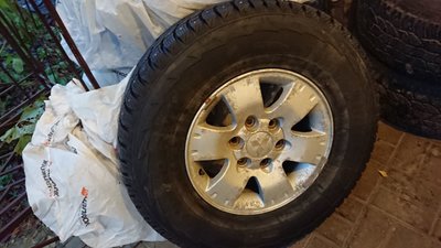 IMG-20171029-WA0007.jpg