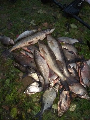 IMG_20171105_164133.jpg