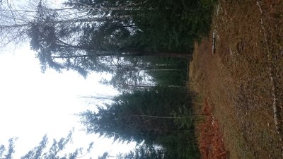 DSC_1015.JPG