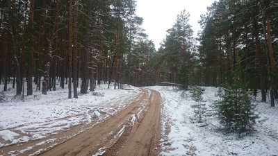 DSC_0993.JPG