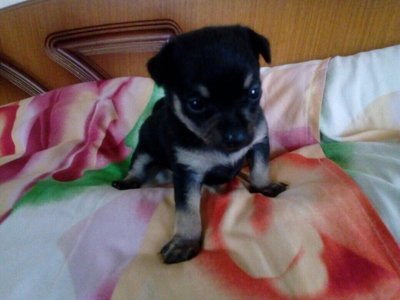 F45DE1A7-6FD3-46D7-B3AF-89D03C9E05BE.jpeg