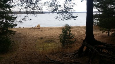 20171106_110641.jpg