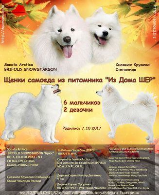 rekl-stesha-brus-sm.jpg