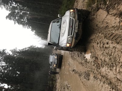 IMG_4519.JPG