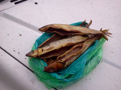 2011-06-11 08.22.49.jpg