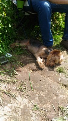 IMG-20170723-WA0012.jpeg