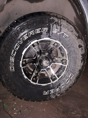 zAPzvy55N6M.jpg