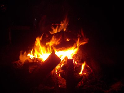 DSCN8770.JPG
