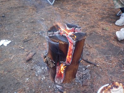 DSCN8780.JPG