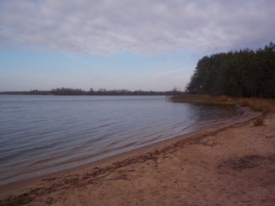 DSCN8784.JPG