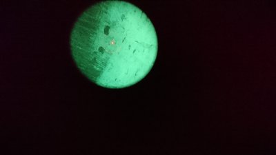 DSC_0097.JPG