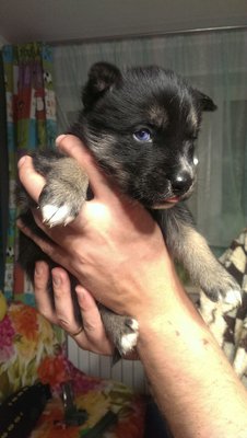2017-12-01-PHOTO-00002304.jpg