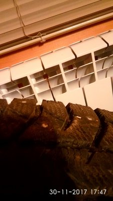 IMG_20171130_174736.jpg