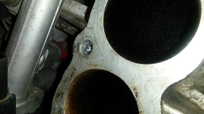 20170816_201823.jpg