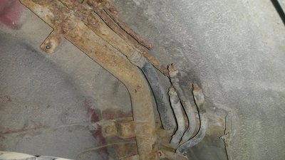 20170825_155456.jpg