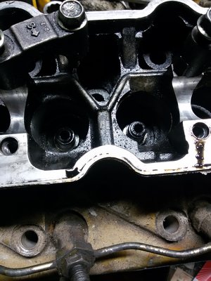 20171130_121439.jpg