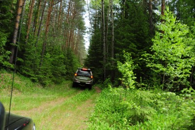 DSC_3832.JPG