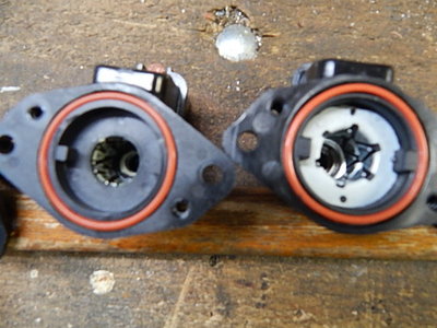 DSCN1655.JPG