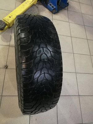 3daf95s-960.jpg