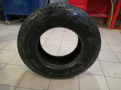 dedaf95s-960.jpg