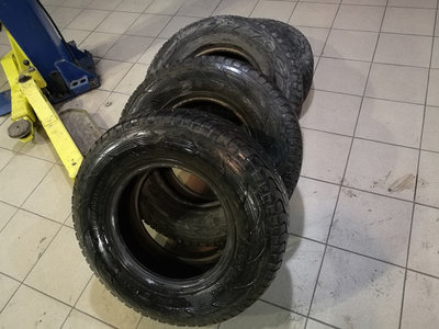 dbdaf95s-960 (1).jpg