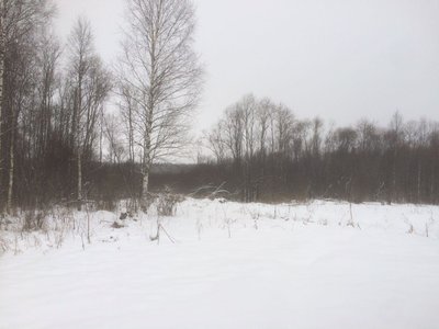 IMG-20171211-WA0011.jpg