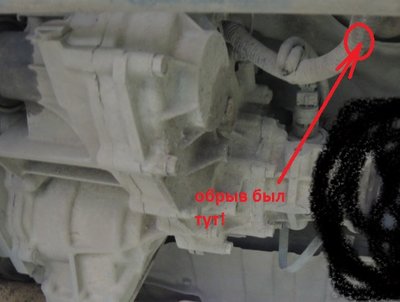 ркп2.jpg