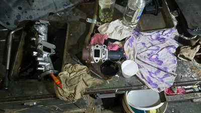 DSC_0148.JPG