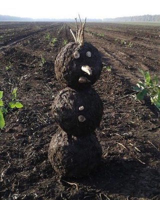 снеговик.jpg