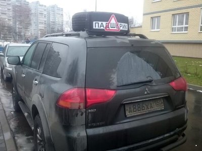 313.jpg