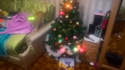 WP_20171230_23_12_33_Pro.jpg
