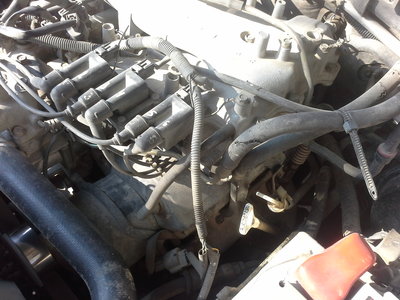 20161126_123035.jpg