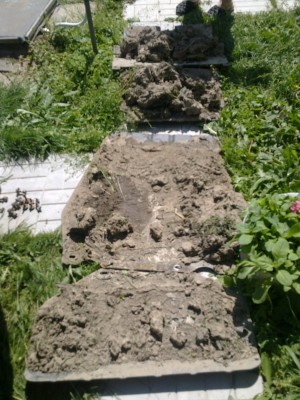 13062011443.jpg