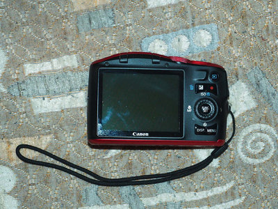 P1200450.jpg