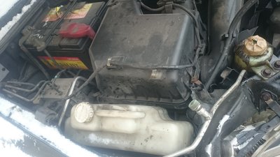 DSC_1247.JPG