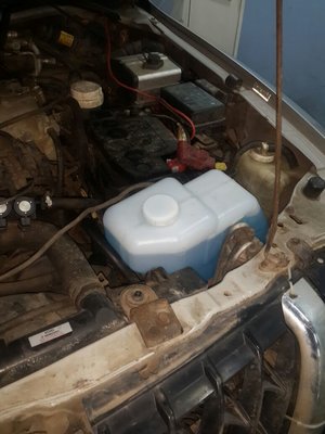 IMG-20180206-WA0019.jpg