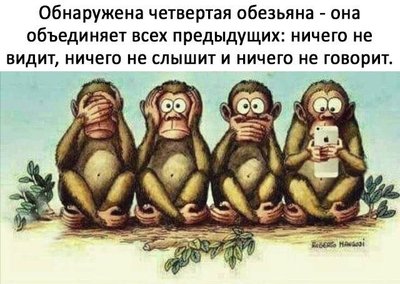 444.jpg