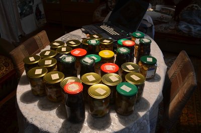 DSC_0066.jpg