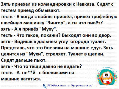 муха.jpeg