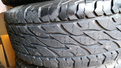 IMG_20171014_142337.jpg