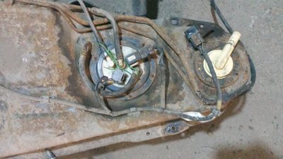 20170323_152728.jpg