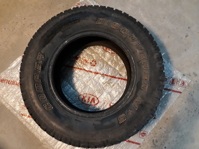 20180224_221314.jpg