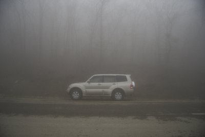 IMG_5204.jpg