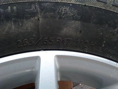 IMG_20180401_133554.jpg