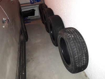 20180401_074655.jpg