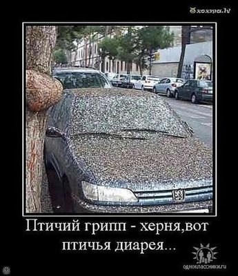 f_93386.jpg
