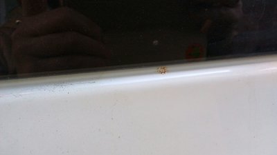 IMG-20180423-WA0001.jpg