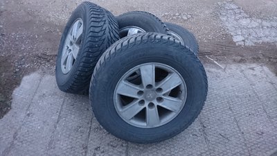 DSC_1516.JPG