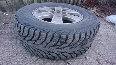 DSC_1515.JPG